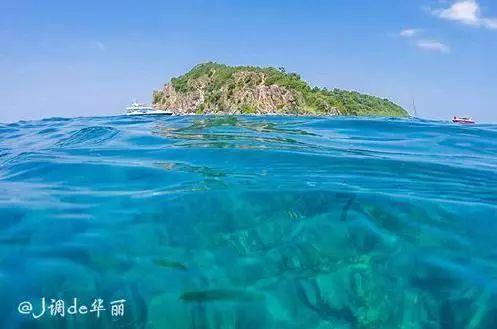 救援白色小猫